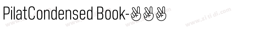 PilatCondensed Book字体转换